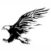AIGLE NOIR