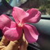 Guam Chamorrita