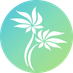 Technology Aloha